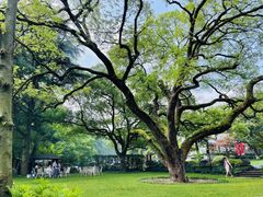 -三台山庄中餐厅