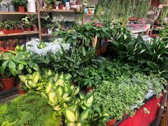 -秦美花卉(天朗·莱茵小城2期店)
