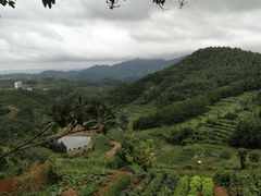 -乌石村