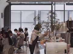 -Seesaw Coffee(上生新所店)