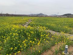 -西海岸生态观光园