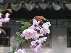 -拙政园
