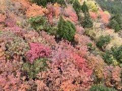 -香山公园