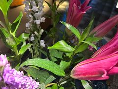 -臻江南影院式足道(雅安店)