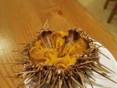 -海胆小馆(东北水饺·春柳店)