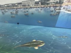 -广州市城市规划展览中心