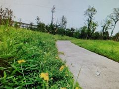 -白鹭湾湿地公园