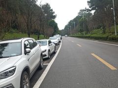 -铁山坪森林公园