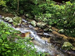 -炎陵县神农谷国家森林公园