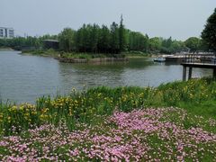 -尚贤河湿地