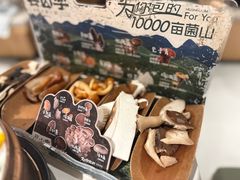 -芸山季·云南山珍菌火锅(南翔印象城MEGA店)