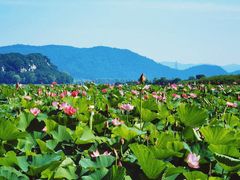 -棋盘山风景区