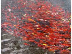 -水磨沟公园