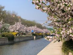 -海棠花溪(元大都城垣遗址公园)