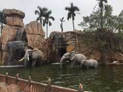 -美的鹭湖探索王国