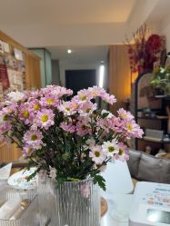 -盼兮·日式美睫沙龙