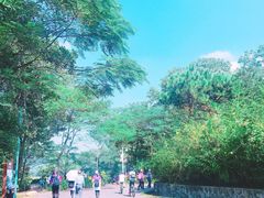 -红花湖景区