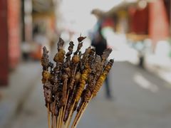 -松州古城
