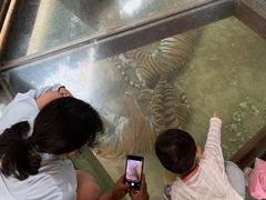 -栾川竹海野生动物园