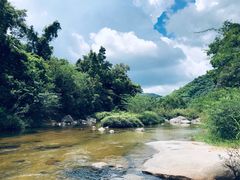 -海南热带雨林国家公园吊罗山景区