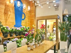 -Blueglass酸奶(华贸购物中心店)