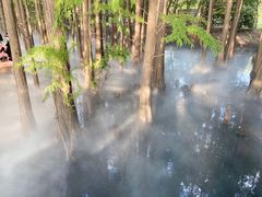 -东湖落雁景区