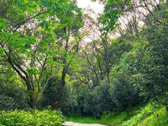 -牛岗山公园