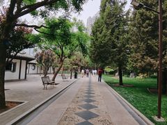 -团结湖公园