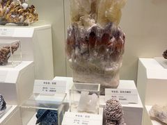 -天津自然博物馆