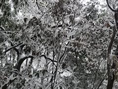 -萍乡武功山风景名胜区