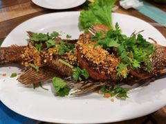 -Doo Dee Thai Food(Issan/Isaan/Esan)