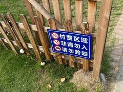 -上海都市菜园