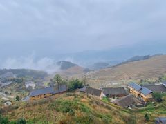 -紫鹊界梯田景区
