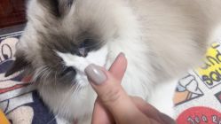 -Nail Me美甲美睫