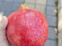 -果蔬好生活超市(新荟城店)