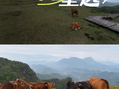 -天龙顶山地公园