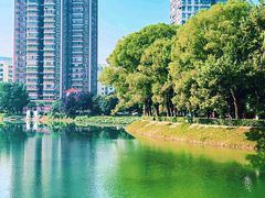 -宝岛公园