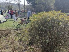 -昆山城市生态森林公园