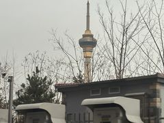 -中国宋庆龄青少年科技文化交流中心