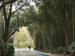 -苏州河梦清园环保主题公园