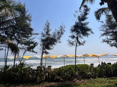 -味餐厅·海鲜·火锅·自助餐