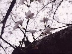 -同济大学(嘉定校区)