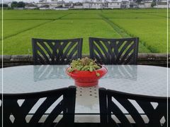 -喜林苑·稻田餐厅(品相府店)
