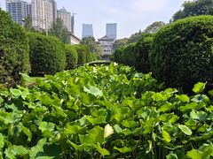-四川大学(华西校区)