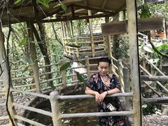 -天门沟九州驿站树上汤泉