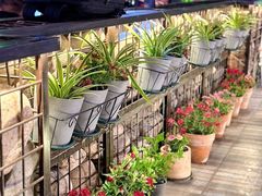 -1819餐厅·团队聚餐·烤串·精酿