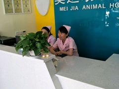 -美迦爱-牙专科·兔科·骨科诊疗中心(北苑店)