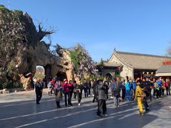 -大槐树寻根祭祖园