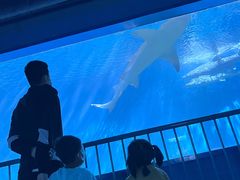 -北戴河圣蓝海洋公园