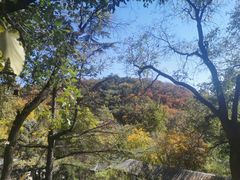 -天津盘山风景名胜区